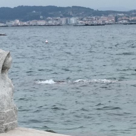 Apartamento Lordelo O Grove Dış mekan fotoğraf