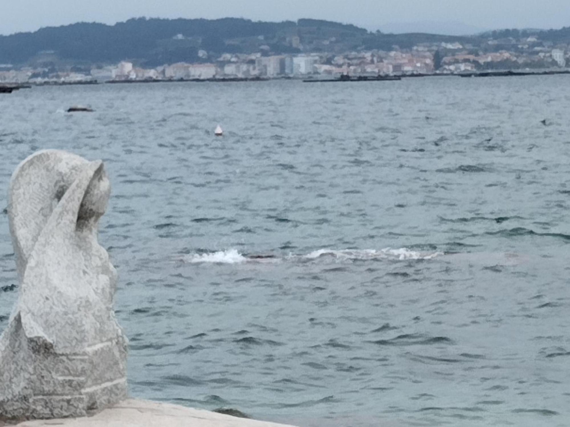 Apartamento Lordelo O Grove Dış mekan fotoğraf